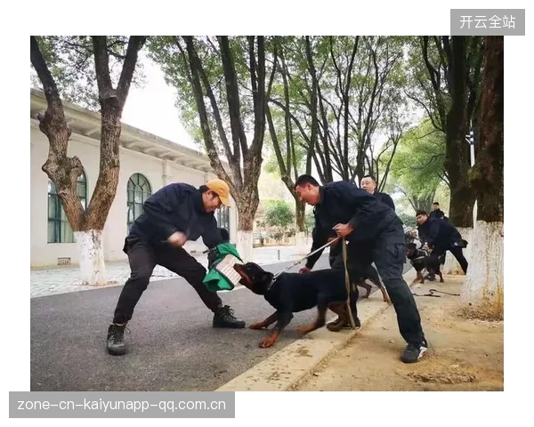 猛龙体能日记：抗压训练显著提升体能储备